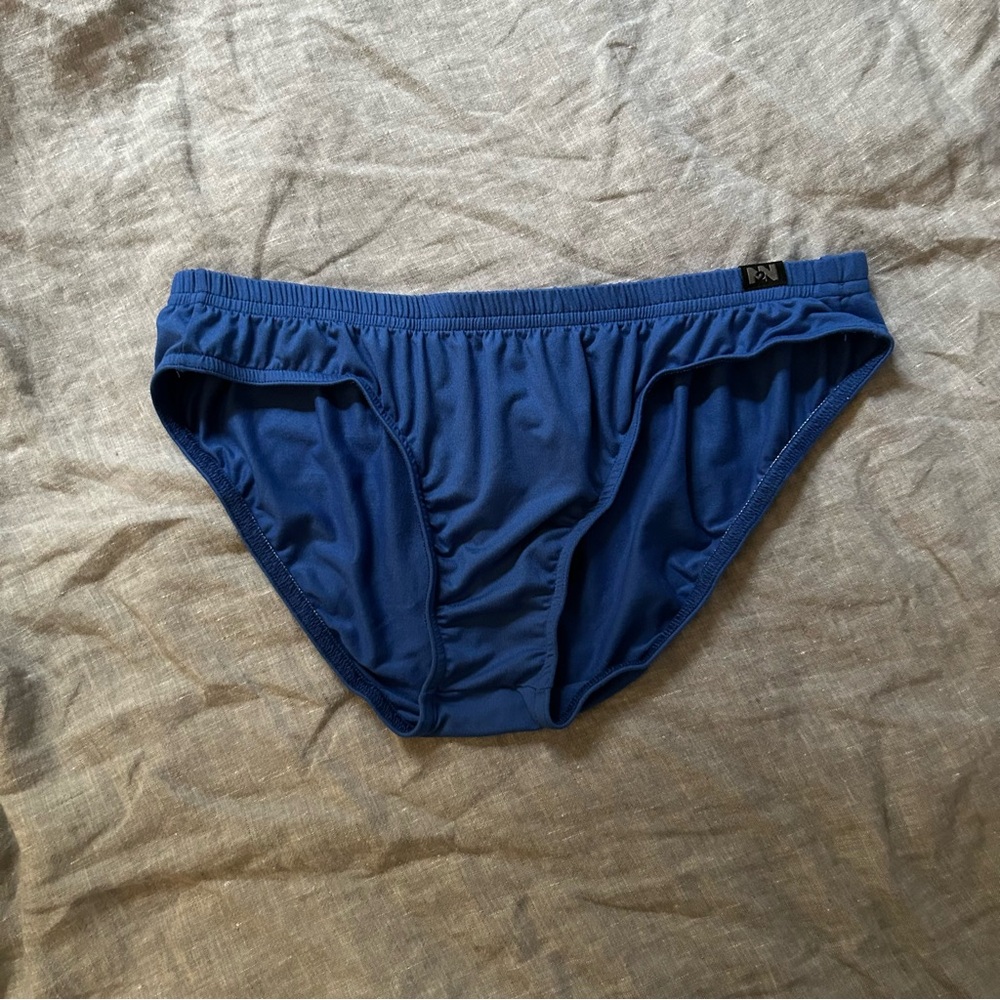 N2N Bodywear Blue Brushed Briefs Size Large NWT